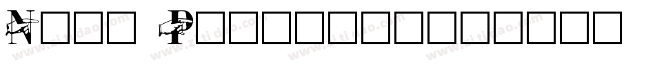 Null Pointer;字体转换